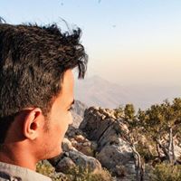 Ali Ahmed