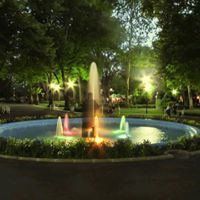 Иво Димитров