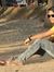 Aamir S...