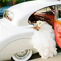 فاطمة عبد العزيز فارس