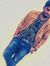 Yaswant...