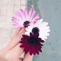 الفتاة الصغيرة