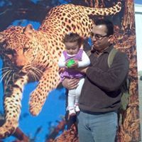Mohammed Gamal