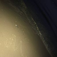 مسفر المالكي