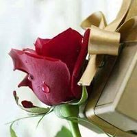 هاجر عبد الوهاب