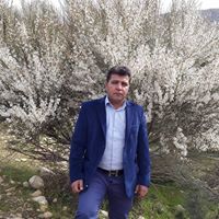 Ali Zarei