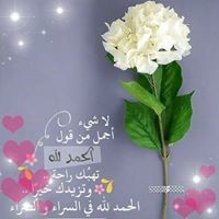 أحمد فتحي شريف