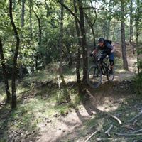 Olivier Van Steenberghe