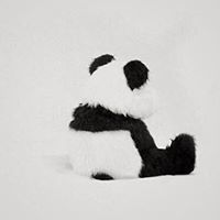 زهره النرجس