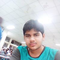 D.S. Meena