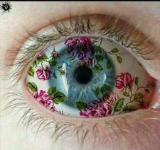 Omnyahussein115yahoo.com