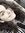 Aylin G...