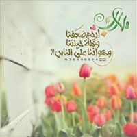 Ahmed Nasr