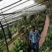 Senthil Kumar