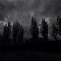 عبدالرحمن المالكي