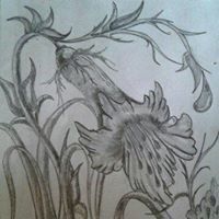 أحمد القادري