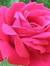 Sadhana...