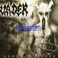 Andrew Connor Murphy