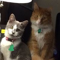 Barbara James-Plummer