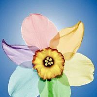 زانیار غەریب