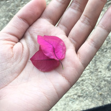 Latifa