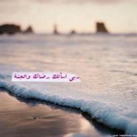 شجرة البيلسان