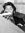 Jannis