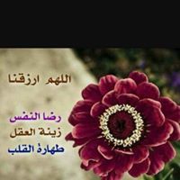 معاذ الأمير