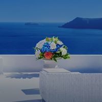 بكري ابراهيم مسبل