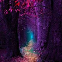 أميرة أم شهد