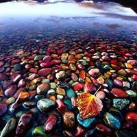 Swati Narayanpethkar