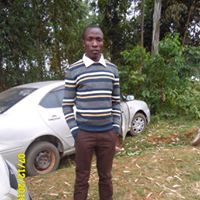 Abel David