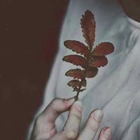 برآ آءة