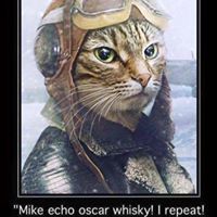 catherine wright-mullis