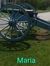 Maria p...