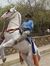 Brajesh...