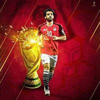 عبدالستار الغنايمي