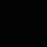 الخالدي الخالدي