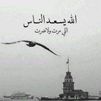 Habooshe D'Eis