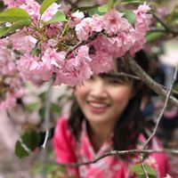 Lingfei