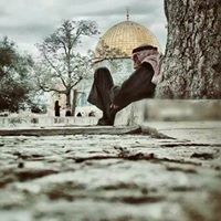 Alaa M. Rashed