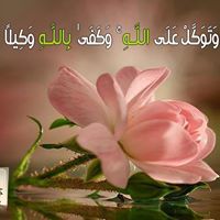 ام صفيه