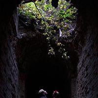 Вадим Ступин