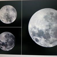 القريشي محمد العبدالله