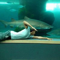 Anastasios Mihalopoulos