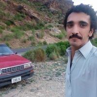 Zeeshan Anwar