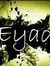 Eyad Mo...