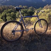 Christopher J.P. Bernique