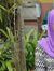 Siti Hajar