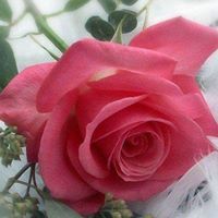 سليمان غرباوي